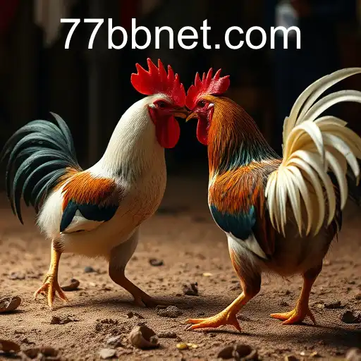 Exploring the Dynamics of Online Sabong and 77bb PH Login